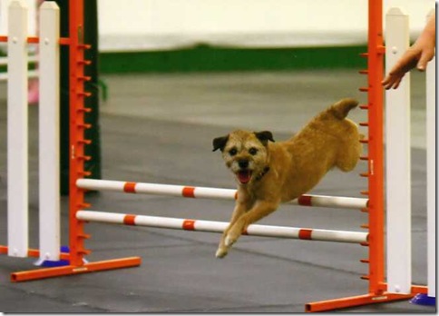 KeeperAgility1001