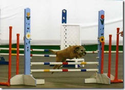 KeeperAgility2002