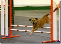 KeeperAgility1001