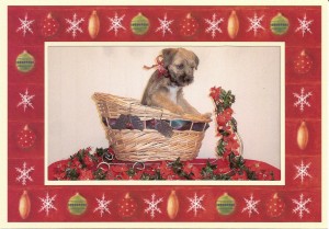 Brentwood Borders Christmas Pup