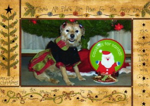 BrtwdChristmas07Card
